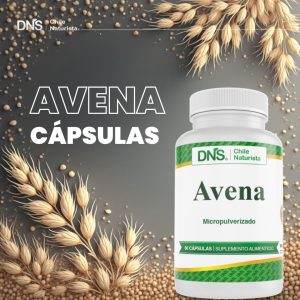 Avena