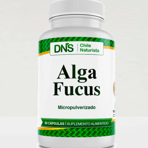 Alga Fucus