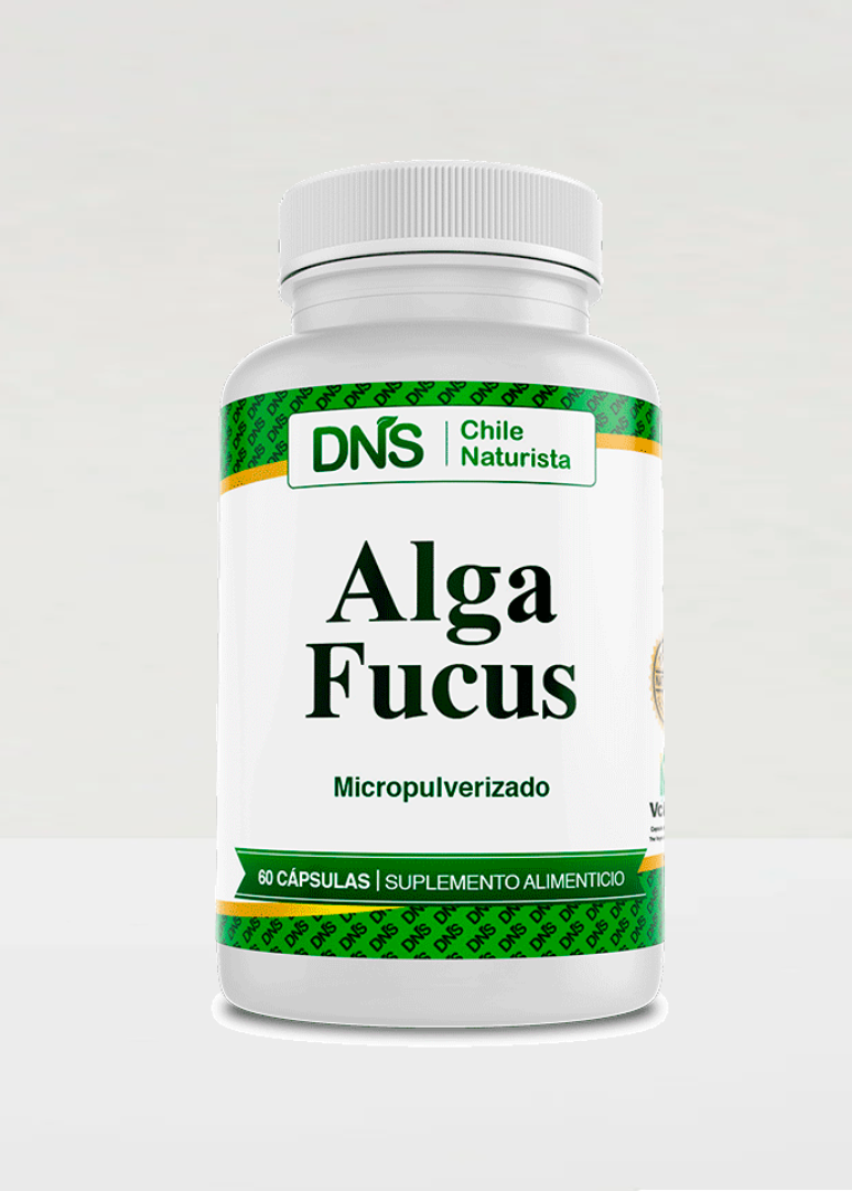 Alga Fucus