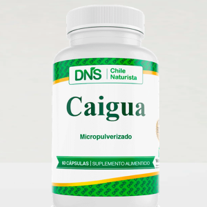 Caigua