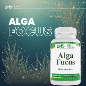 ALFA FUCUS
