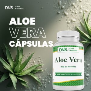 Aloe Vera Cápsulas