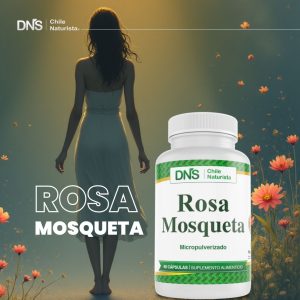 Rosa Mosqueta