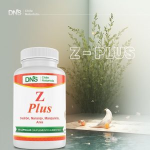 Zzzz Plus